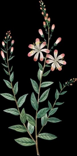 Sticker supporting MadeByStudents